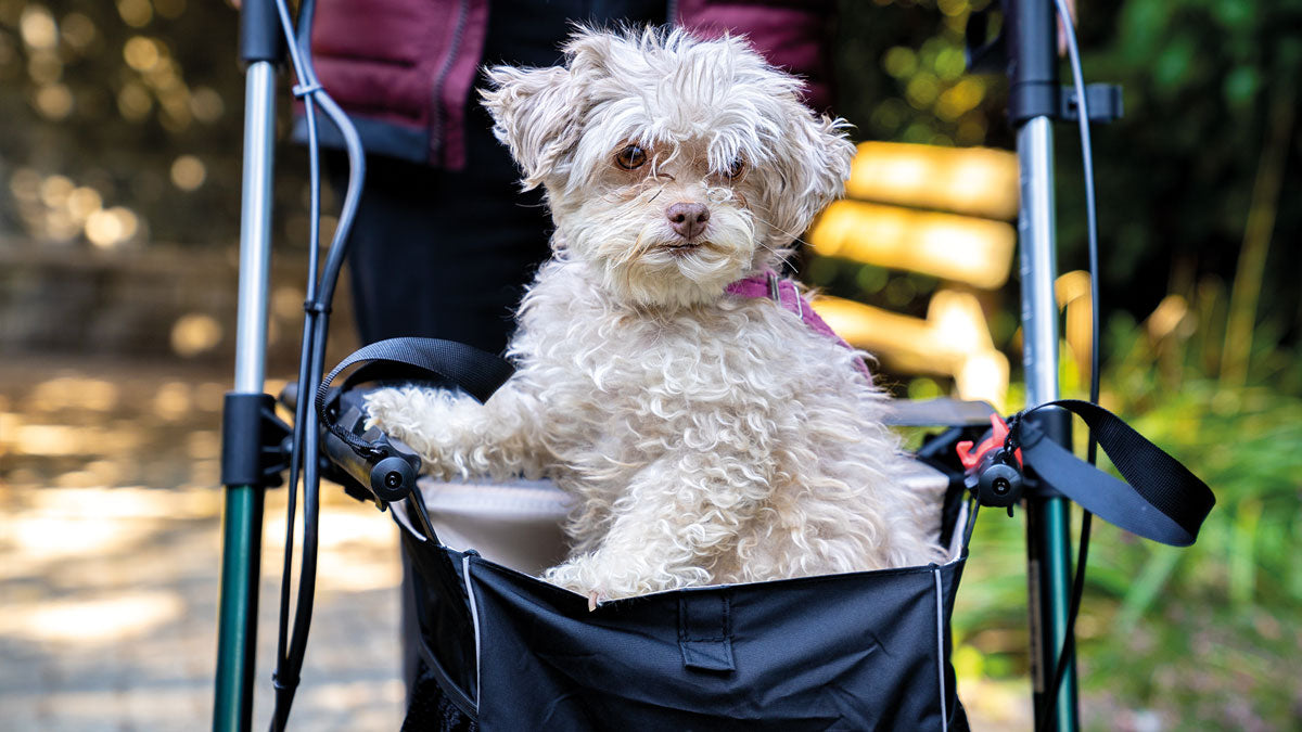 Saljol Rollatortasche