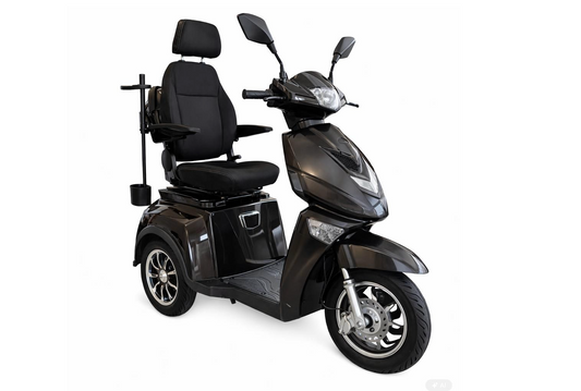 Scooter ES3