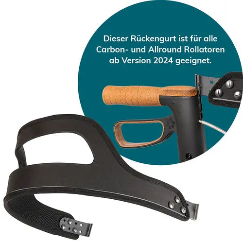 Saljol Rückengurt